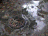 IMGP9607.JPG