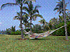 tag-013-033-06-04-26-mittwoch-weltreise-baha.jpg
