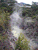tag-069-049-06-06-21-mittwoch-weltreise-foxt.jpg